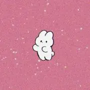 エビの画像