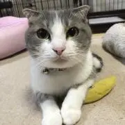 mamemame.773の画像