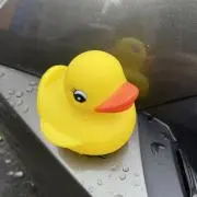 ゆーた