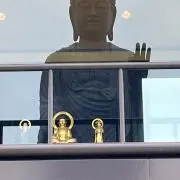 すずの画像