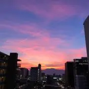 ちぇりるの画像