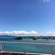 みーこ