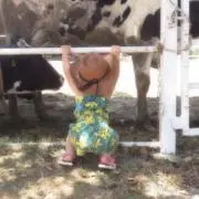 きぃちゃんの画像