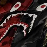 力の画像