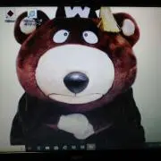 ★BEAR ★の画像