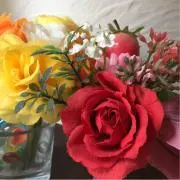 さくらの画像