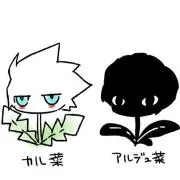 美咲の画像