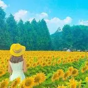 ユリアの画像