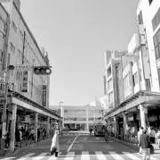 North Bay Vintageの画像