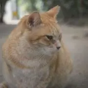 Junの画像