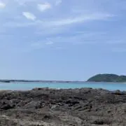 mokaの画像