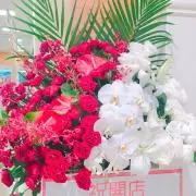 レオの画像