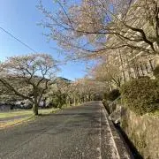 Asahiの画像