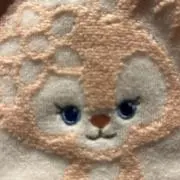 SN3103の画像
