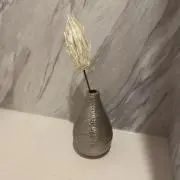 くまたろうの画像