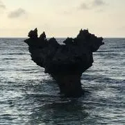 ひろの画像