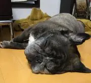やまちかこの画像