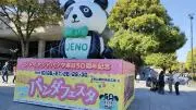 atsx0531の画像