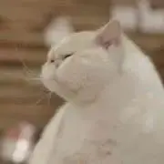 し！