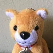 ちかなぁの画像