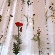 sakuraの画像