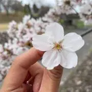 愛永 ♡