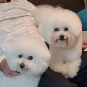 たかじゃー
