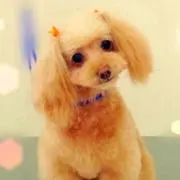 イノー