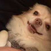 ここ