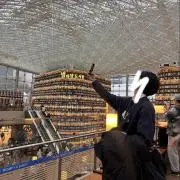 とびうおの画像