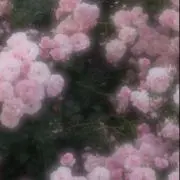 7️⃣