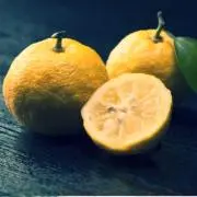 柚子もちの画像