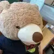 よっしーの画像