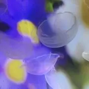 ☆あんみつ、断捨離中です‼☆の画像