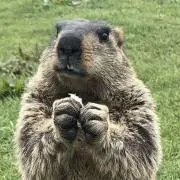 ここの画像