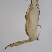 mmn
