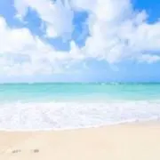 naluの画像