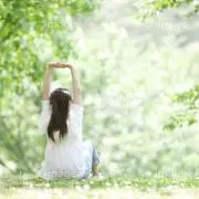 緑抹茶の画像