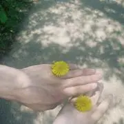 gkcmsjl