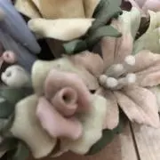 きょんの画像