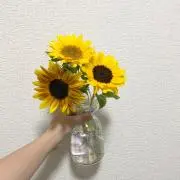 ぼーる