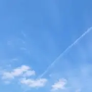さとうの画像