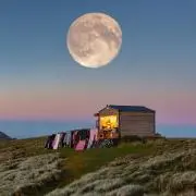 山の上に移転したヴィンテージ屋の画像