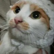 みかりん