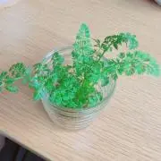 moon☆の画像