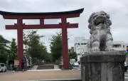 まめの画像