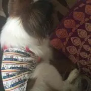 かおりん