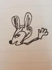 あーこ
