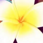 ☆BplinC☆17の画像