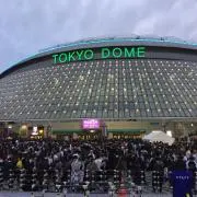 こまの画像